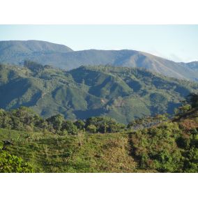 Kostarika Tarrazu, STŘEDNĚ PRAŽENÁ, zrnková káva arabica