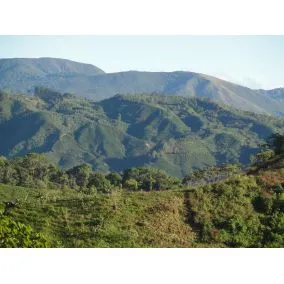 Kostarika Tarrazu, STŘEDNĚ PRAŽENÁ, zrnková káva arabica