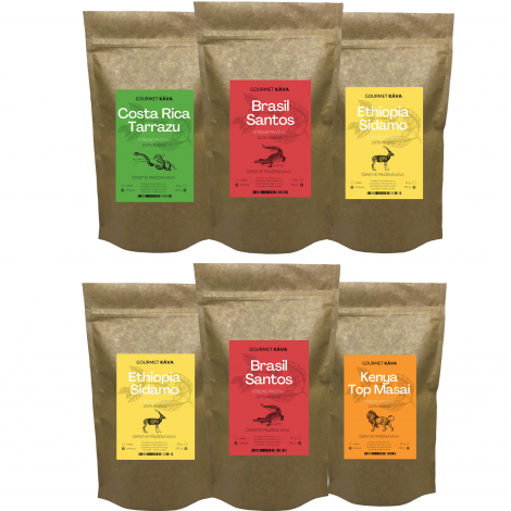 Subscription to Filter Coffee by GourmetKava - medium roast